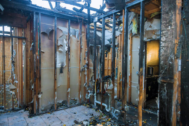 Professional Fire Damage Removal technician working in Reston, VA