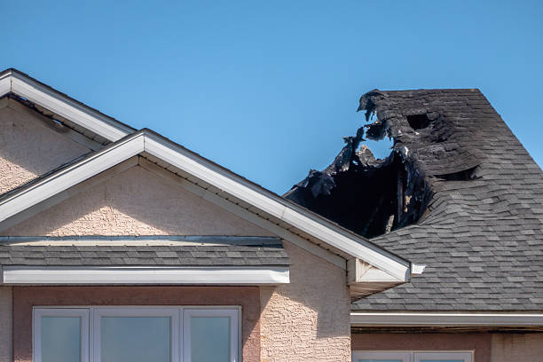 Top rated local Fire Damage Removal specialists in Reston, VA